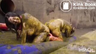 My favorite trailers