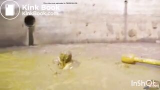 My favorite trailers