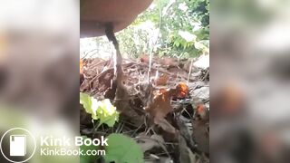 POO IN THE WOODS