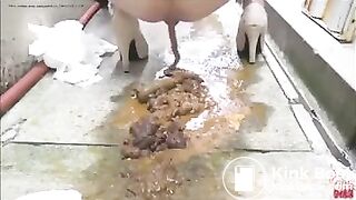 Scat Mountain - video 2