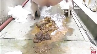 Scat Mountain - video 2