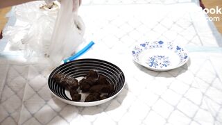 Beautiful lady is playing with poop - video 2
