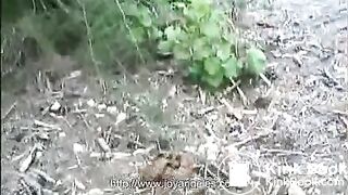 METAMUCIL POO IN THE WOODS