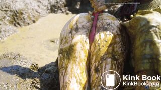 Kaitlyn ... Lyndra ... Farm Life Of Cowshit Lover