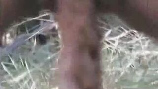 BIG POO OUTDOORS