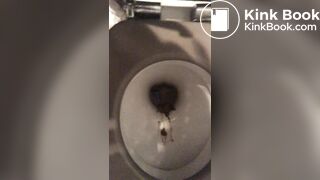 ... poops inside her toilet