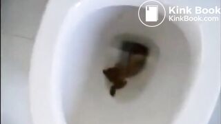 Girl pooping on toilet - video 201