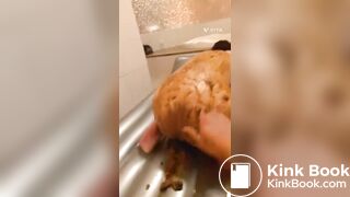 jap scat 4 - video 4
