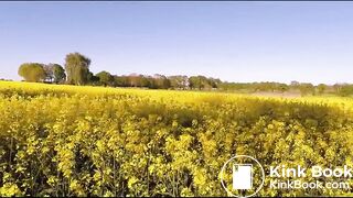 FEEDING THE YELLOW FLOWERS