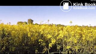 FEEDING THE YELLOW FLOWERS