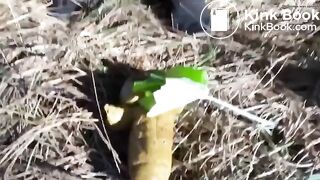LOVELY POO IN THE WOODS
