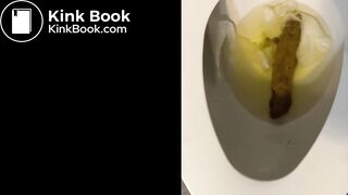 She dropt a MONSTER log into the toilet bowl