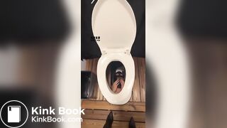 Goddess sera-黑丝女神脚下的犬化黄金奴