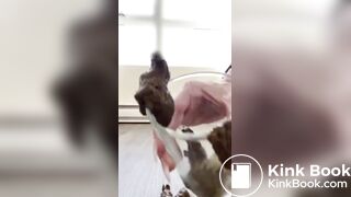 girl poops into a glass