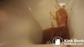 poor toilet, second trip