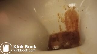 poor toilet, second trip