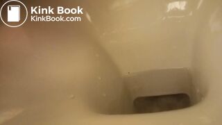 poor toilet, second trip