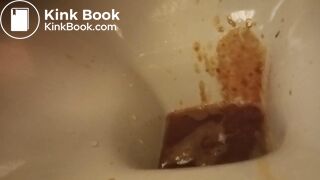poor toilet, second trip