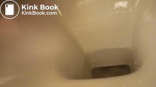 poor toilet, second trip