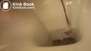 poor toilet, second trip