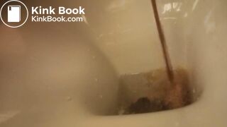 poor toilet, second trip
