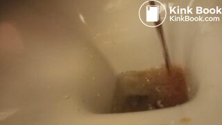 poor toilet, second trip