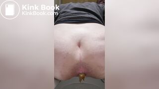 Massive load of poop at the Airport Toilet