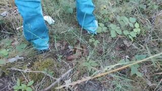 POO IN THE PINE WOODS