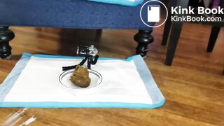 My new favorite scat video - video 79