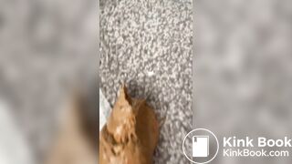 Young whore spreading ass and shitting