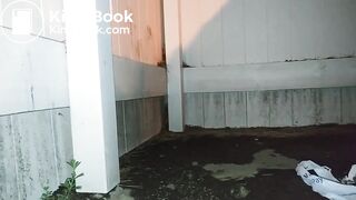 One of my favorite scat girl shitting outside - video 2