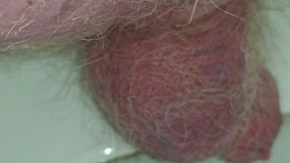 Old man Closeup shit with big single ball