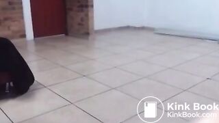 One of my favorite scat videos - video 27
