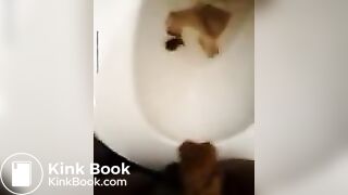 Black ebony mimics amusement park ride