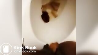 Black ebony mimics amusement park ride