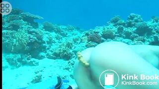 Fish Food - video 2