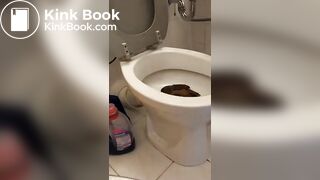 Head in toilet scat eating