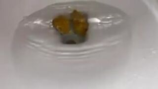 Girl takes a quick dump