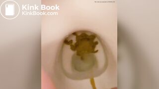 girl diarrhea in toilet - video 2