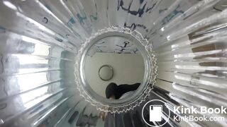 pov toilet mistress pooping into the jar