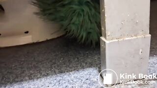 Women pooping in a public toilet