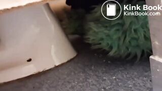 Women pooping in a public toilet