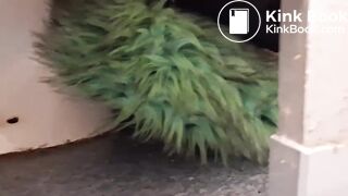 Women pooping in a public toilet