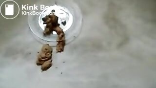 Brasileira Cagando para o marido filmar