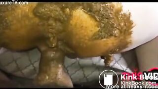 One of my new favorite scat sex videos - video 9