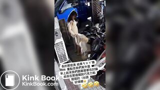 Woman clean her shitty ass with a coat