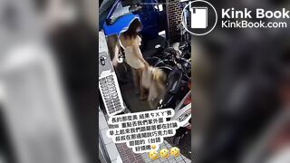 Woman clean her shitty ass with a coat