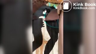 One of my new favorite scat sex videos - video 10