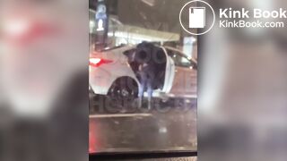 quick public poop