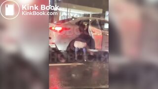 quick public poop